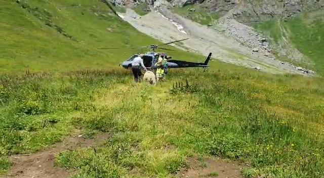 VideoCapture_20240418-090027